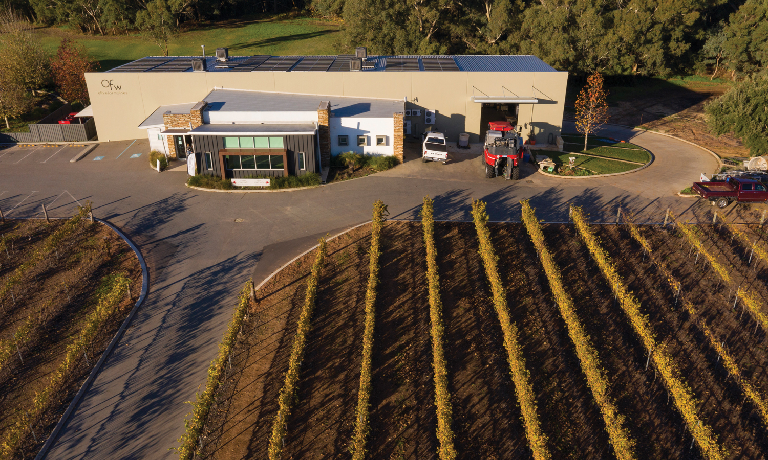 OliveFarmWines-Drone-vineyard